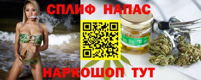 mdpv Краснознаменск