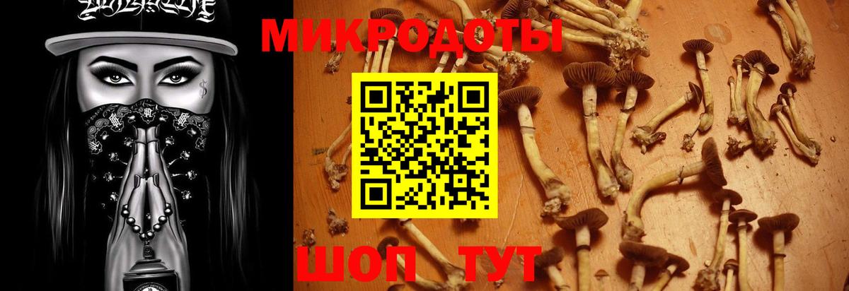 Ялуторовск  Псилоцибиновые грибы MAGIC MUSHROOMS  наркотики  Псилоцибиновые грибы прущие грибы  Вход с VPN 